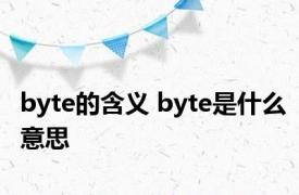 byte的含义 byte是什么意思