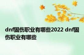 dnf固伤职业有哪些2022 dnf固伤职业有哪些