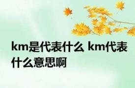 km是代表什么 km代表什么意思啊