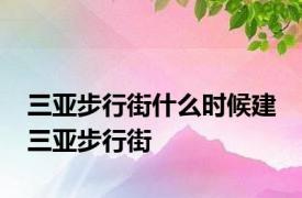 三亚步行街什么时候建 三亚步行街 