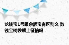 龙钱宝1号跟余额宝有区别么 数钱宝树袋熊上征信吗 