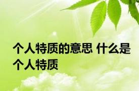 个人特质的意思 什么是个人特质