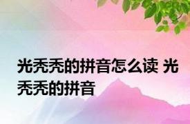 光秃秃的拼音怎么读 光秃秃的拼音 