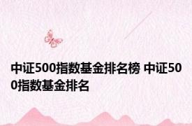 中证500指数基金排名榜 中证500指数基金排名 