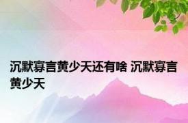 沉默寡言黄少天还有啥 沉默寡言黄少天 