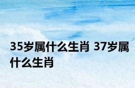 35岁属什么生肖 37岁属什么生肖 