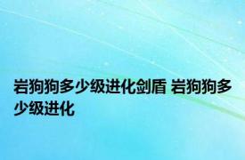 岩狗狗多少级进化剑盾 岩狗狗多少级进化