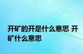 开矿的开是什么意思 开矿什么意思 