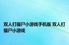 双人打僵尸小游戏手机版 双人打僵尸小游戏 