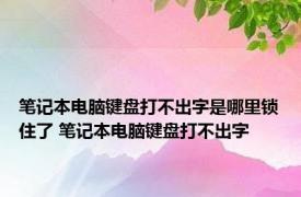 笔记本电脑键盘打不出字是哪里锁住了 笔记本电脑键盘打不出字 