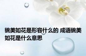 貌美如花是形容什么的 成语貌美如花是什么意思