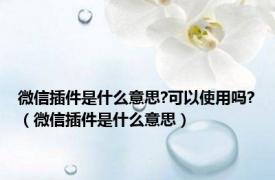 微信插件是什么意思?可以使用吗?（微信插件是什么意思）