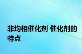 非均相催化剂 催化剂的特点 