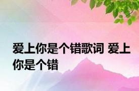 爱上你是个错歌词 爱上你是个错 