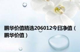 鹏华价值精选206012今日净值（鹏华价值）