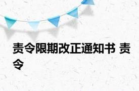 责令限期改正通知书 责令 