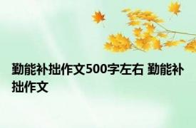 勤能补拙作文500字左右 勤能补拙作文 