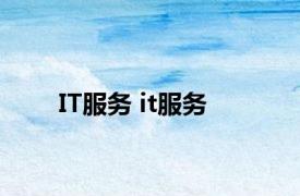 IT服务 it服务 