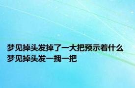 梦见掉头发掉了一大把预示着什么 梦见掉头发一拽一把 