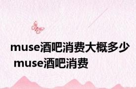 muse酒吧消费大概多少 muse酒吧消费 