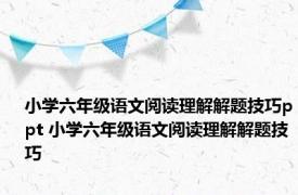 小学六年级语文阅读理解解题技巧ppt 小学六年级语文阅读理解解题技巧