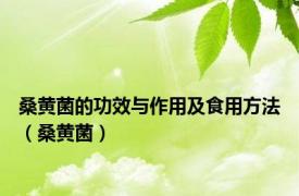 桑黄菌的功效与作用及食用方法（桑黄菌）