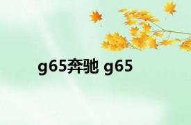 g65奔驰 g65 