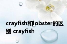 crayfish和lobster的区别 crayfish 