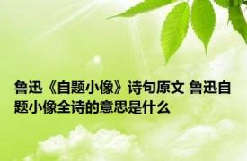 鲁迅《自题小像》诗句原文 鲁迅自题小像全诗的意思是什么