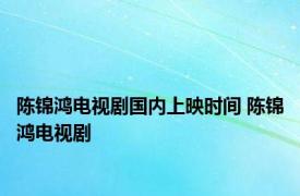 陈锦鸿电视剧国内上映时间 陈锦鸿电视剧 