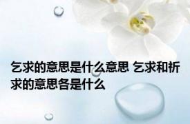 乞求的意思是什么意思 乞求和祈求的意思各是什么