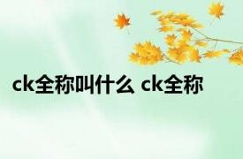 ck全称叫什么 ck全称 