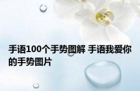 手语100个手势图解 手语我爱你的手势图片 