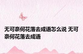 无可奈何花落去成语怎么说 无可奈何花落去成语