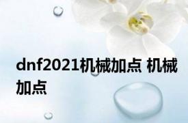 dnf2021机械加点 机械加点 