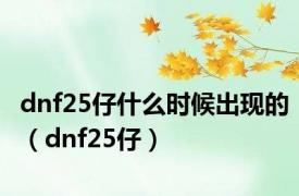 dnf25仔什么时候出现的（dnf25仔）