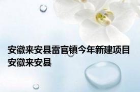 安徽来安县雷官镇今年新建项目 安徽来安县 