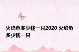 火焰龟多少钱一只2020 火焰龟多少钱一只 