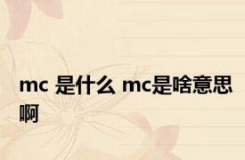 mc 是什么 mc是啥意思啊