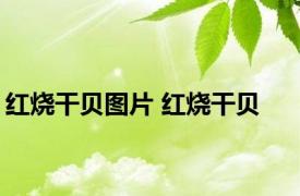 红烧干贝图片 红烧干贝 