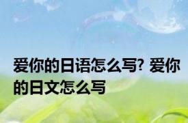 爱你的日语怎么写? 爱你的日文怎么写