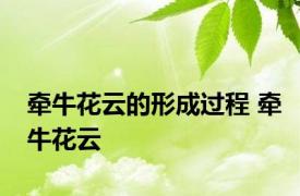 牵牛花云的形成过程 牵牛花云 