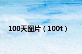 100天图片（100t）