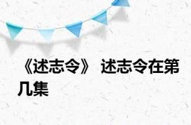 《述志令》 述志令在第几集 