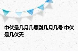 中伏是几月几号到几月几号 中伏是几伏天