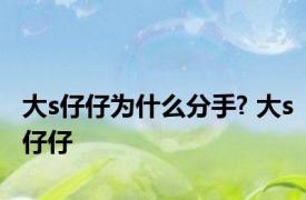 大s仔仔为什么分手? 大s仔仔 