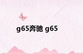 g65奔驰 g65 