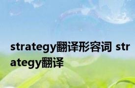 strategy翻译形容词 strategy翻译 