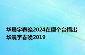 华晨宇春晚2024在哪个台播出 华晨宇春晚2019 