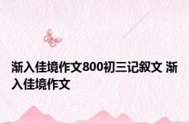 渐入佳境作文800初三记叙文 渐入佳境作文 